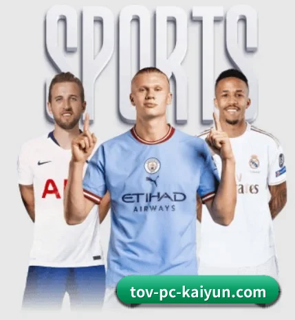 五大服务分区,信息按项目分类 | kaiyun sports