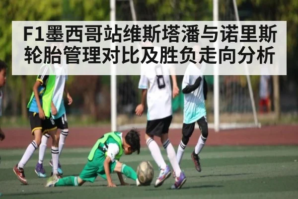 F1墨西哥站维斯塔潘与诺里斯轮胎管理对比及胜负走向分析 - kaiyun sports
